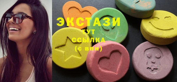 мдпв Богородицк