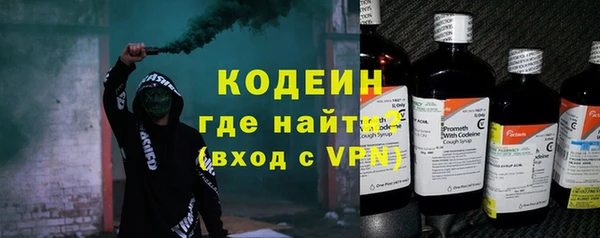 сатива Вяземский