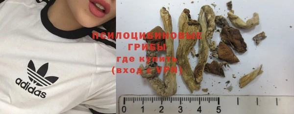 марки lsd Карпинск