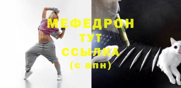 мдпв Богородицк
