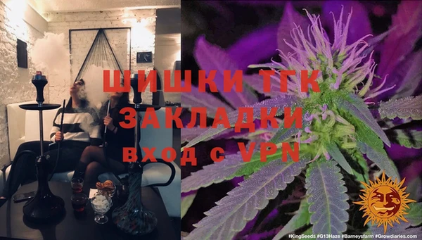 мдпв Богородицк