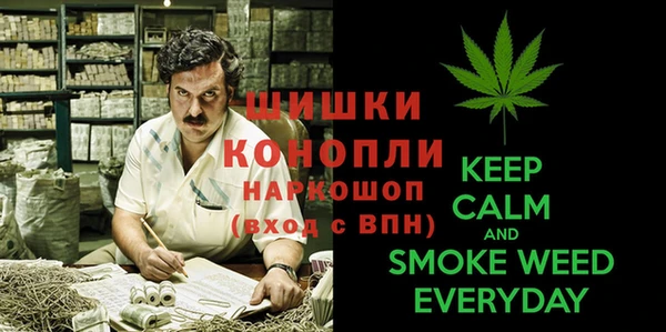 прущая мука Богданович