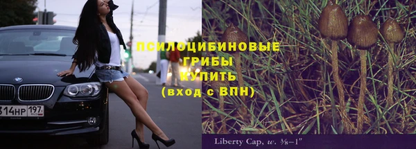 прущая мука Богданович