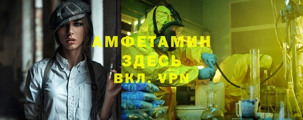 мдпв Богородицк